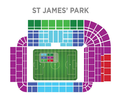 Newcastle United vs Aston Villa - 17/10
